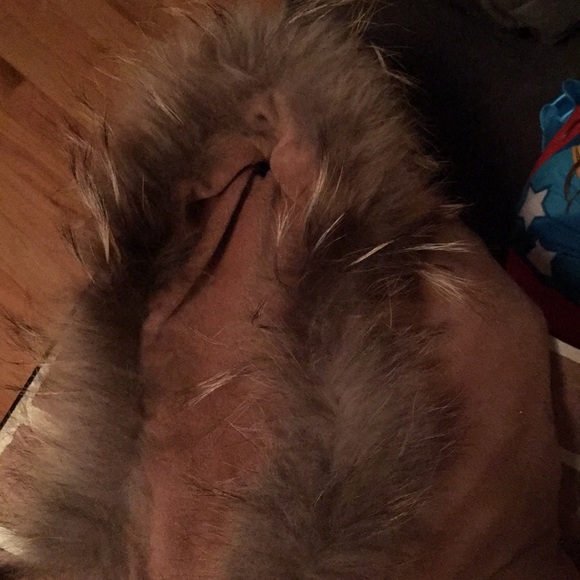 🔥 Fox collar shawl - Picture 5 of 5